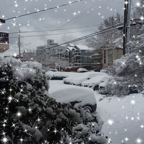 Meet your Posher, Cary - Picture 1 of 1